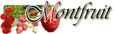 Montfruit