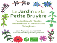 logo5